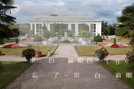 京東白條逾期四個(gè)小時(shí)忘記了-京東白條逾期一個(gè)小時(shí)