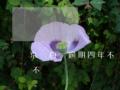 京東白條逾期四年不還-京東白條逾期四年不還