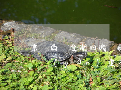 京東白條逾期四次貸款(京東白條逾期4天問題嚴(yán)重不嚴(yán)重)