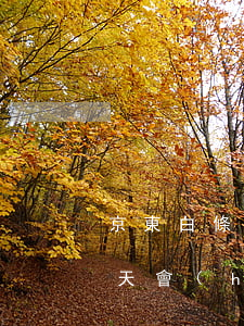 京東白條逾期回爆通訊錄嗎(京東白條逾期5天會(huì)爆通訊錄)