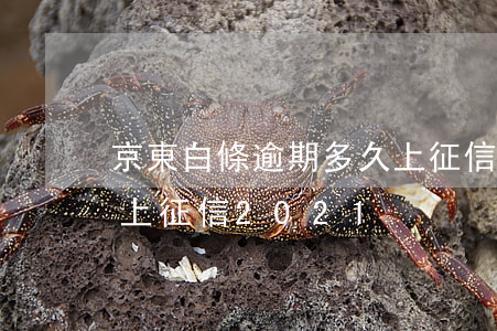 京東白條逾期多久上征信(京東白條逾期多久上征信2021)