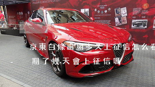 京東白條逾期多久上征信怎么看 京東白條逾期了幾天會上征信嗎