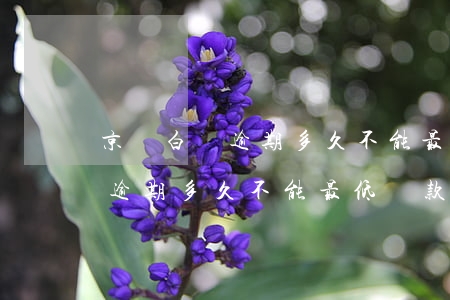 京東白條逾期多久不能最低還款-京東白條逾期多久不能最低還款了