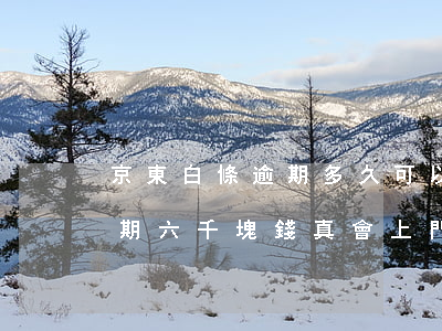 京東白條逾期多久可以上門催款(京東白條逾期六千塊錢真會上門催收嗎)