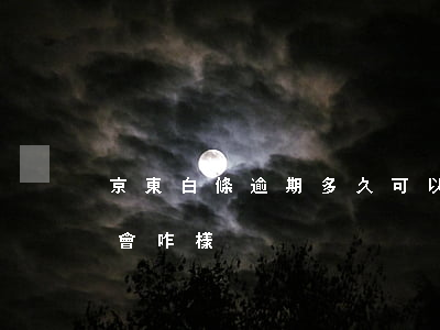 京東白條逾期多久可以開(京東白條逾期幾天會咋樣)