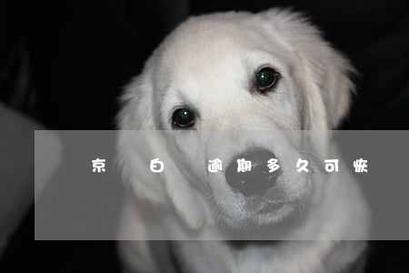 京東白條逾期多久可恢復(fù)