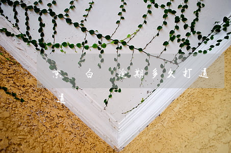 京東白條逾期多久打通訊錄(京東白條逾期打通訊錄嗎)