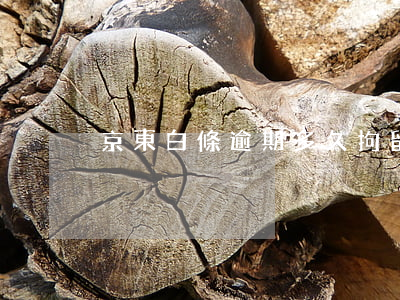 京東白條逾期多久拘留(京東白條逾期幾天了)