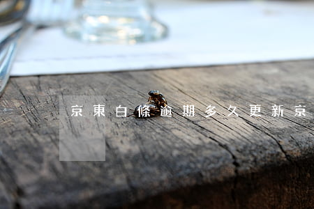 京東白條逾期多久更新(京東白條逾期半月)