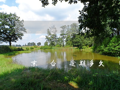 京東白條逾期多久會(huì)