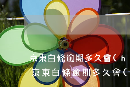 京東白條逾期多久會(huì)走法律程序 京東白條逾期多久會(huì)要求全部還完