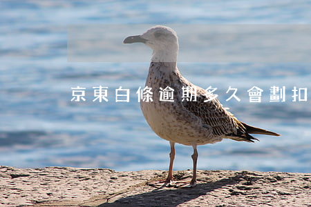 京東白條逾期多久會劃扣銀行卡