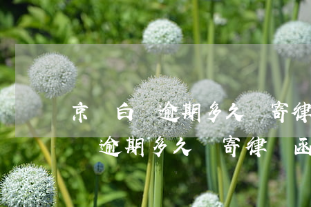 京東白條逾期多久會寄律師函給我-京東白條逾期多久會寄律師函給我呢