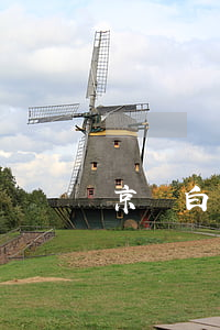 京東白條逾期多久會暴力催收