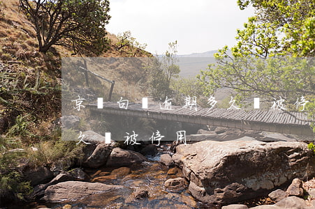京東白條逾期多久會被停用（京東白條逾期多久會被停用）