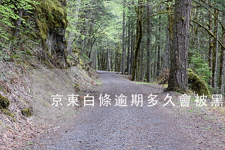 京東白條逾期多久會被黑 京東白條逾期了會