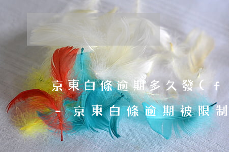 京東白條逾期多久發(fā)限高令有事嗎-京東白條逾期被限制高消費(fèi)逾期20多天