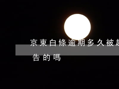 京東白條逾期多久被起訴 京東白條逾期有被告的嗎