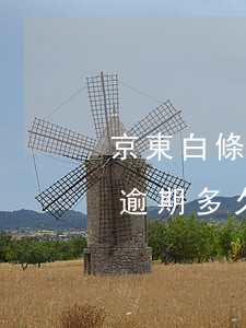 京東白條逾期多久要求全額還款-京東白條逾期多久要求全額還款呢