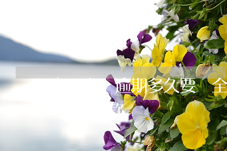 京東白條逾期多久要還全款(京東白條逾期了怎么還款)