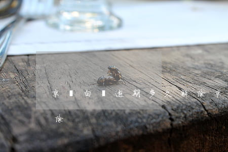 京東白條逾期多久解除 京東白條逾期多久解除