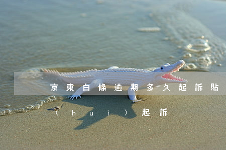 京東白條逾期多久起訴貼吧(京東白條逾期會(huì)起訴?)