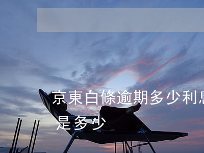 京東白條逾期多少利息(京東白條逾期的利息是多少)
