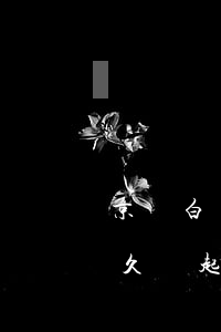 京東白條逾期多少天打官司(京東白條逾期多久會起訴)