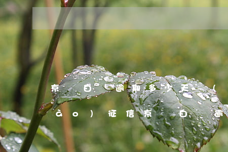 京東白條逾期多少天會(huì)上報(bào)征信(京東白條逾期多少天會(huì)上報(bào)征信)