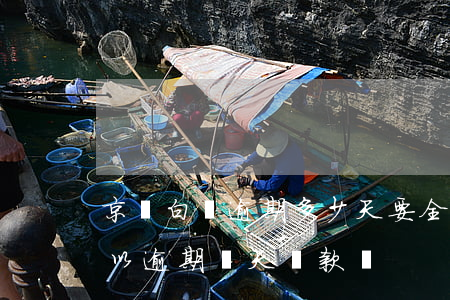 京東白條逾期多少天要全額還款(京東白條可以逾期幾天還款嗎)