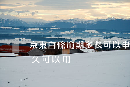 京東白條逾期多長可以申請 京東白條逾期多久可以用