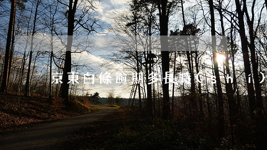 京東白條逾期多長時(shí)間要上征信
