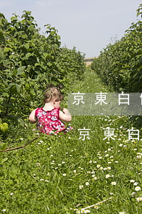 京東白條逾期如何和客服聯(lián)系(京東白條逾期如何和客服聯(lián)系)