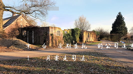 京東白條逾期委托別的公司追(京東白條逾期1個月要走司法)