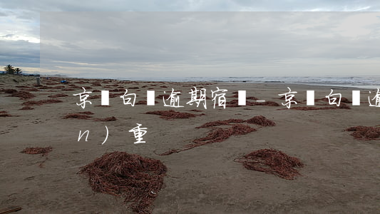 京東白條逾期宿遷-京東白條逾期嚴(yán)重