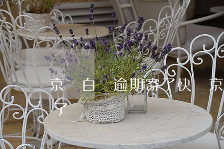 京東白條逾期寄了快遞(京東白條不小心逾期了)