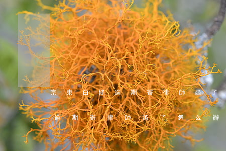 京東白條逾期寄律師函了怎么辦-京東白條逾期寄律師函了怎么辦理