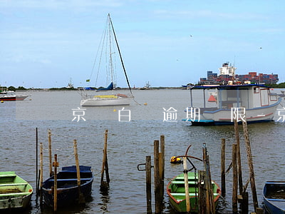 京東白條逾期寬限-京東白條逾期寬限