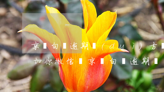 京東白條逾期對(duì)方會(huì)加你微信嗎(京東白條逾期會(huì)有什么號(hào)碼打來(lái))