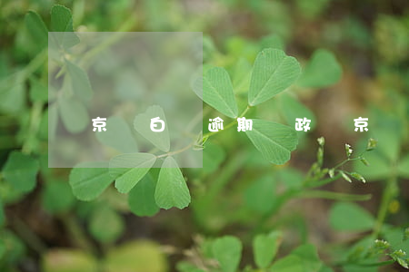 京東白條逾期對政審(京東白條怎么過審)