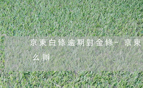 京東白條逾期對金條-京東白條金條逾期怎么辦