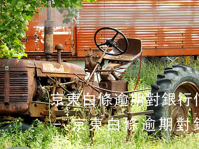 京東白條逾期對銀行信譽(yù)有影響嗎-京東白條逾期對銀行信譽(yù)有影響嗎安全嗎