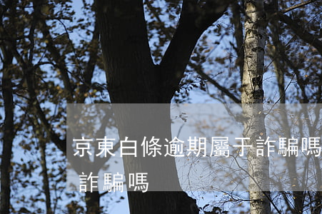 京東白條逾期屬于詐騙嗎(京東白條逾期算是詐騙嗎)