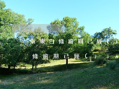 京東白條逾期已經(jīng)還清 京東白條逾期已經(jīng)還清