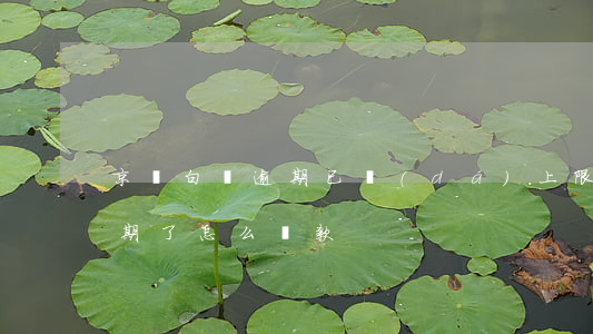 京東白條逾期已達(dá)上限(京東白條逾期了怎么還款)