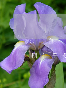 京東白條逾期幾千塊錢會上門嗎 京東白條逾期1千多說要上門
