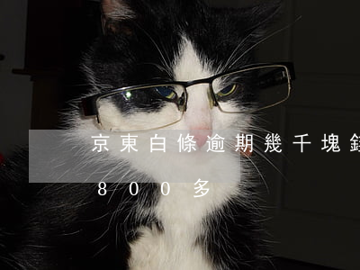 京東白條逾期幾千塊錢會怎樣（京東白條逾期800多）