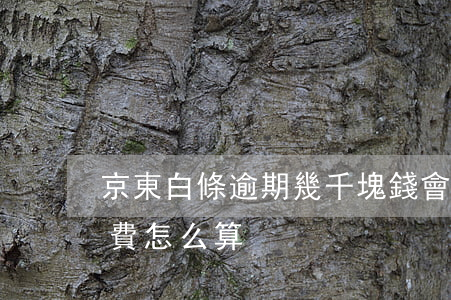 京東白條逾期幾千塊錢會怎樣（京東白條逾期費怎么算）