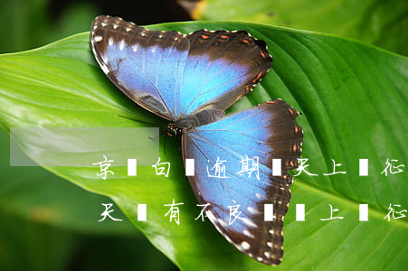 京東白條逾期幾天上傳征信 京東白條逾期1天會有不良記錄上傳征信