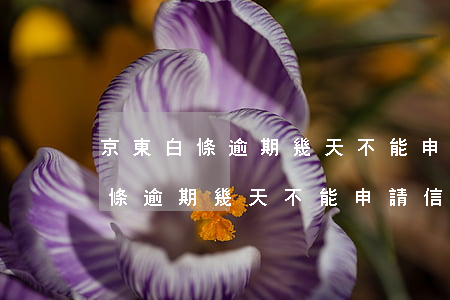 京東白條逾期幾天不能申請信用卡-京東白條逾期幾天不能申請信用卡了